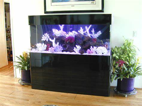 125 Gallon, Marine Fish Tank, Aquarium Design, Marine Aquariums and 