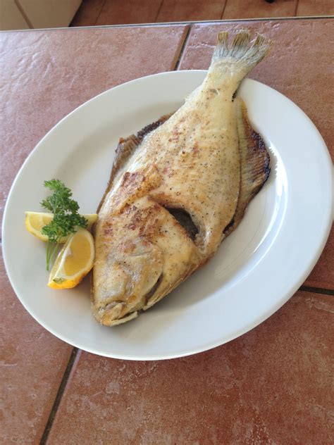 Cocavo Pan Fried Flounder With Creole Seasoning Cocavo