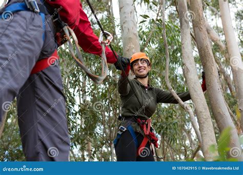 Man Helping Woman To Cross Zip Line In The Forest Stock Image Image