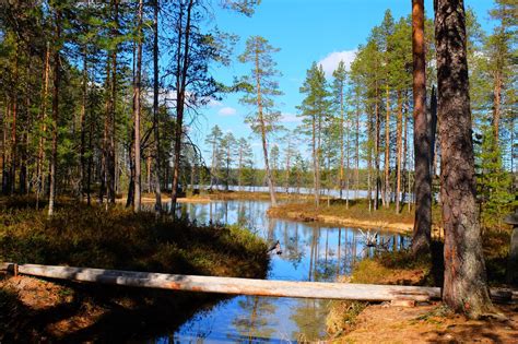 Hossa National Park Finland Celebrates A Century Of Independence With