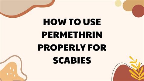 How To Use Permethrin Properly For Scabies Updated 2023 Youtube