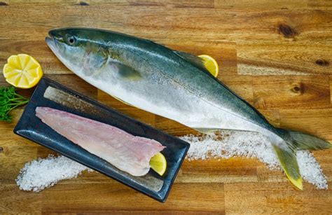 Yellowtail Kingfish Adelaide Seafood
