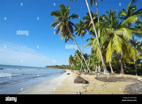 Playa Bonita Las Terrenas Halbinsel Samana Dominikanische Republik