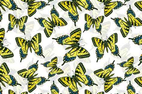 Tiger Swallowtail Butterfly 2 Tapet Fototapet Happywall