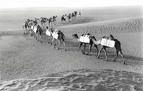 There are many maps drawn of the ancient arab sea trade routes, most however, deal with start and stop points, i.e., from the spice islands in indonesia to zanzibar in east africa, or from the han chinese kingdom to malacca. Ghana, Mali, Songhai--Ishani Kunadharaju timeline ...