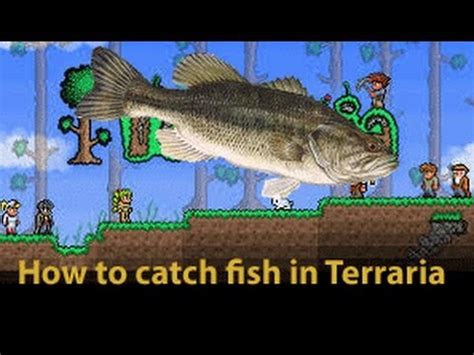 What is the best soft bait for bass? Terraria fishing tutorial - YouTube