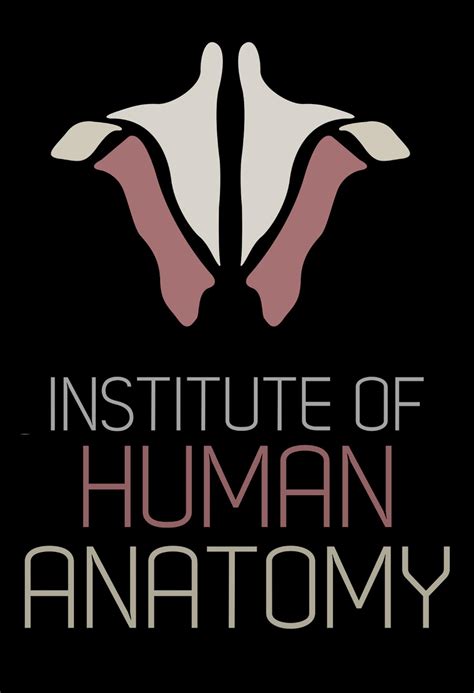 Institute Of Human Anatomy 2019