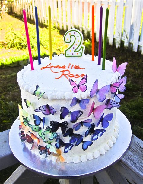15 Easy Butterfly Birthday Cake Easy Recipes To Make At Home