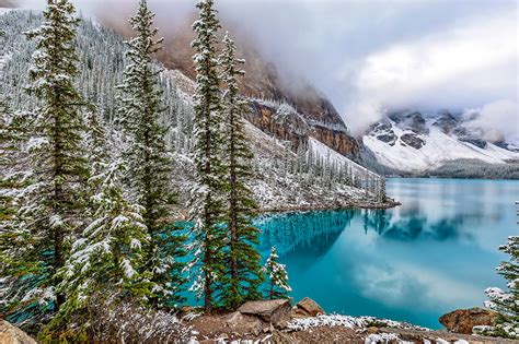 Fonds Decran Canada Lac Parc Moraine Lake Banff Neige Picea Nature