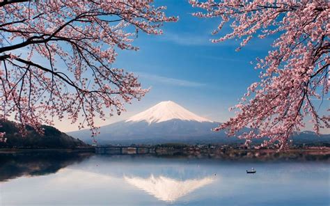 Scarica Sfondi Fujiyama Stratovulcano Primavera Sakura Il Lago Il