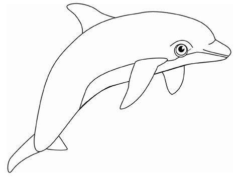 Kolorowanka Delfin Wyskakuje Z Wody Do Druku I Online