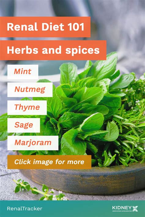 Using Natural And Kidney Friendly Herbs And Spices Can Help Lessen The