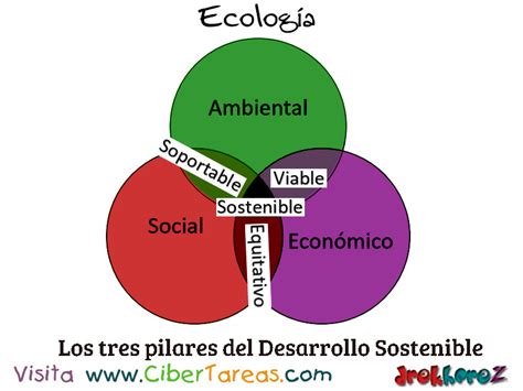 Pilares Del Desarrollo Sostenible En La Educaci N Ambiental Ecolog A