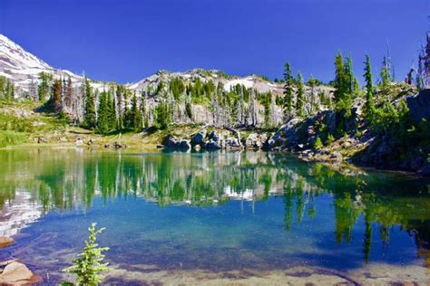 Blue lake gifford pinchot national forest. Mount Adams Highline Trail at Gifford Pinchot National ...