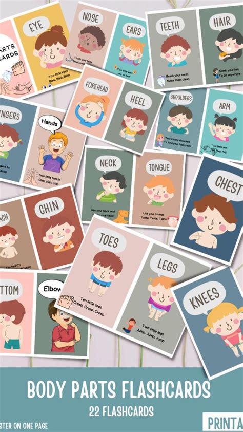 Parts Of Body Flashcard Posters Teaching Resources Printable Parts Of