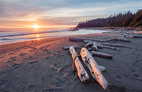 Beautiful Sunset Along The West Coast Trail Of Vancouver Island