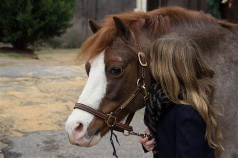 Sweet Oompa | Equestrian blog, Equestrian style, Equestrian