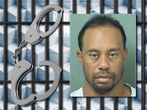 Police Release Tiger Woods Dui Arrest Video Mnc