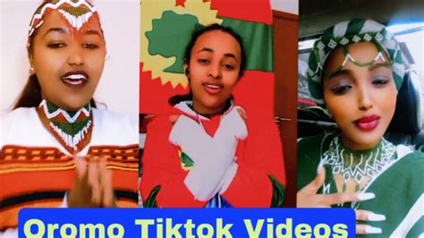 Sirba Afaan Oromoo Haaraa 2023 Oromo Music Oromotiktok Youtube
