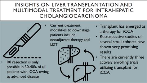 Insights On Liver Transplantation And Multimodal Treatment For