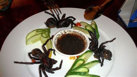 Strange Meals And Exotic Foods From Countries All Over The World Hubpages