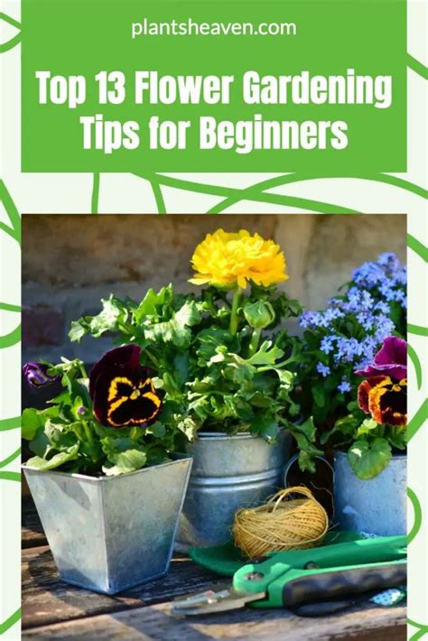 Top 13 Flower Gardening Tips For Beginners Plants Heaven