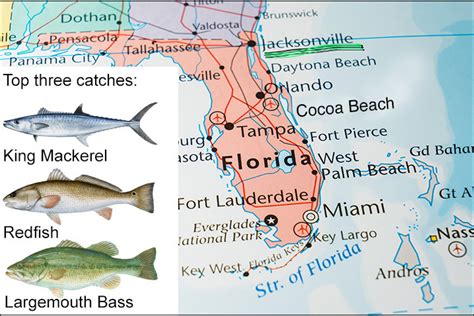10 Places With The Best Fishing In Florida And None Of Them Is Destin