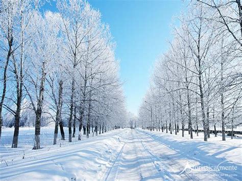 Sfoglia 1.726.940 inverno fotografie stock e immagini disponibili, oppure cerca autunno o estate per trovare altre splendide fotografie stock e immagini. Frasi, citazioni e aforismi sull'inverno - AFORISTICAMENTE