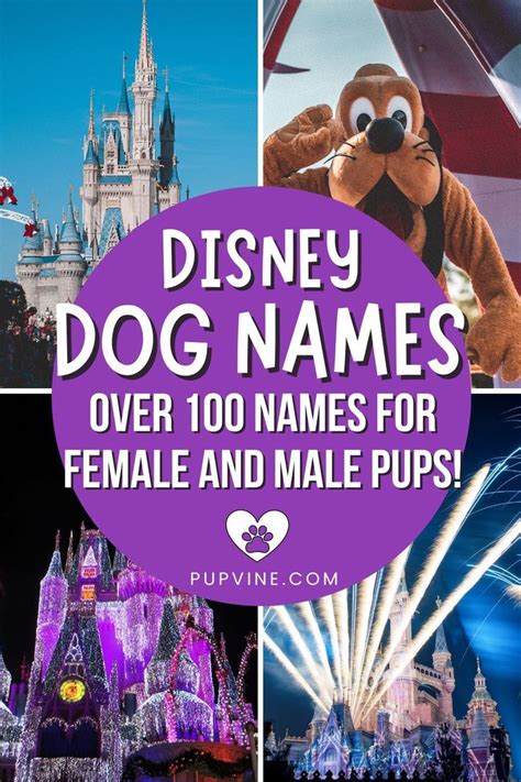 Disney Dog Names Over 100 Names For Female And Male Pups Disney Pet