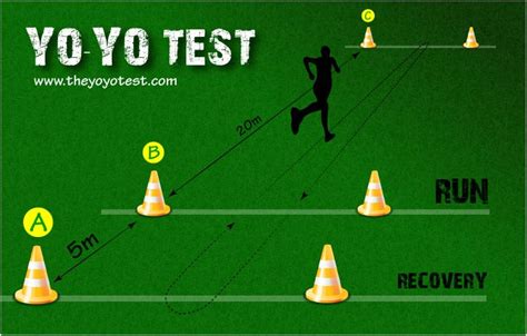 Everything You Need To Know About The Yo Yo Test A Maximum Aerobic