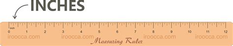 Actual Ruler In Inches Wholesale Deals Save 66 Jlcatjgobmx