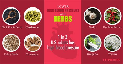 8 Powerful Herbs For High Blood Pressure Hypertension Relievers