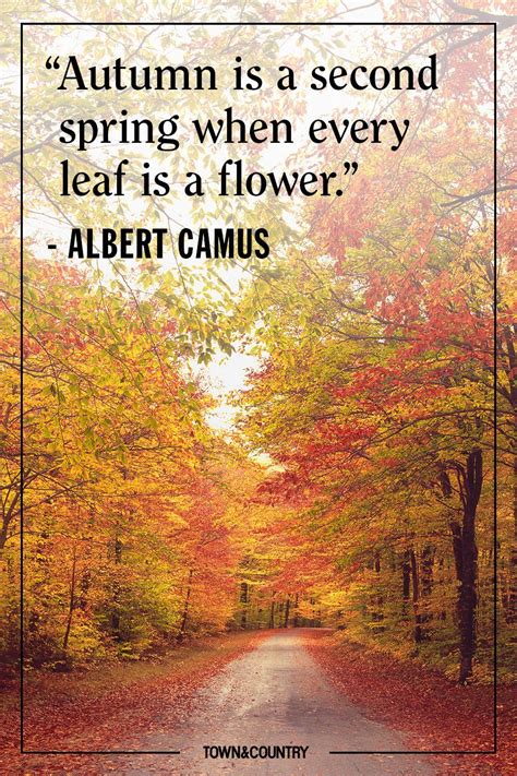 25 Cozy Autumnal Quotes To Get You Ready For Fall Autumn Quotes
