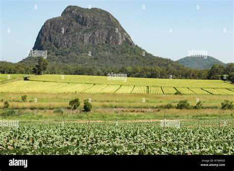 Glass House Mountains Queensland Australia Stock Photo Alamy