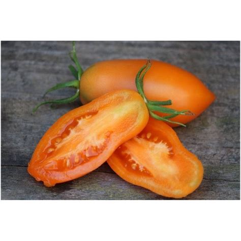 Orange Banana Tomate Samen Preis €185