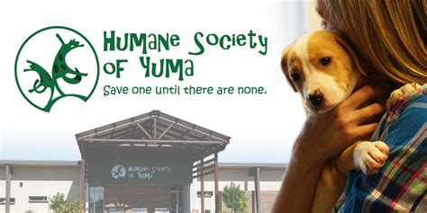 Humane Society Tucson Az - petfinder