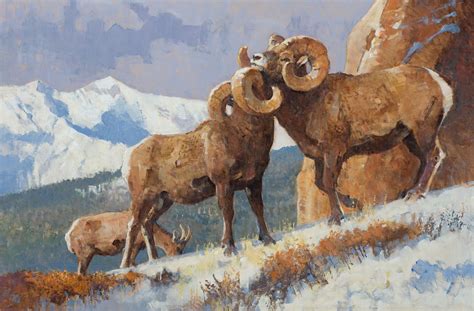 Bob Kuhn Contending Rams 16 X 24 Acrylic On Board 2002 Sold For