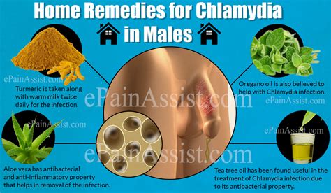 Home Remedies For Chlamydia In Males