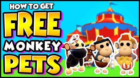 Find and adopt a pet on petfinder today. How To Get FREE Monkey Pets in Adopt Me Roblox! LEGIT ...
