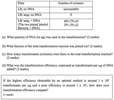 Solved Number Of Colonies Lb No Dna Uncountable Lbamp No Dna Lb