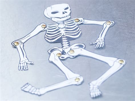 How To Make A Human Skeleton Out Of Paper 12 Steps