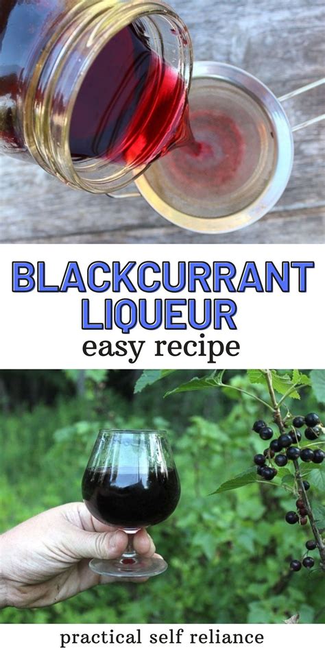 Homemade Blackcurrant Liqueur Cassis Recipe Liqueurs Recipes Black Currant Recipes