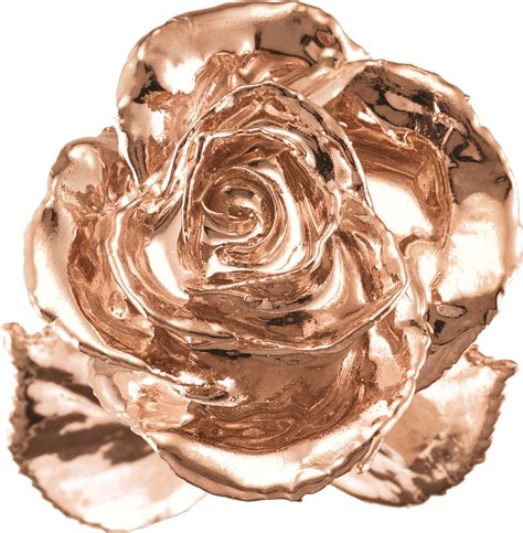 24k Rose Gold Dipped Rose A Real Rose Preserved In Gold