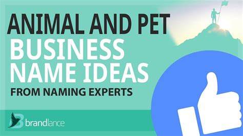 Best Animal And Pet Business Name Ideas Suggestions Brand Names