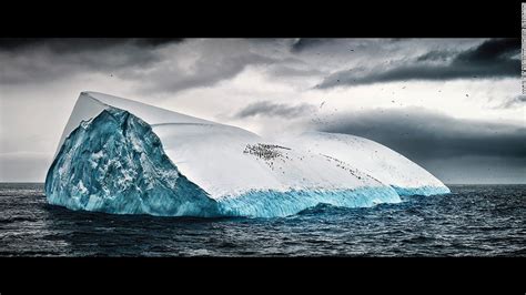 Alex Bernasconis Blue Ice Captures Antarctica