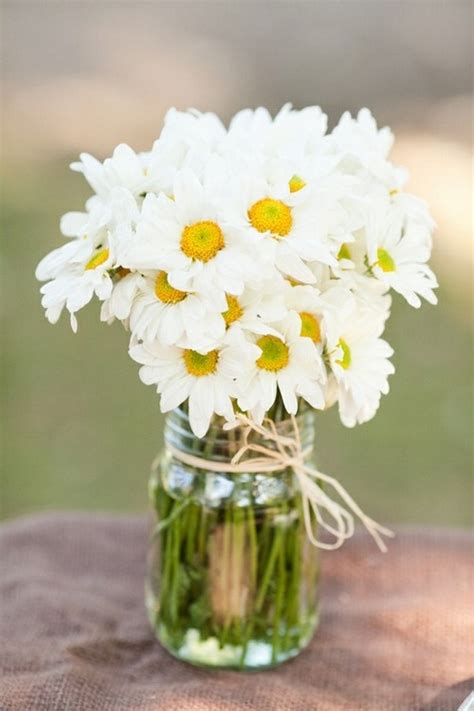 Check spelling or type a new query. Bouquet Of Daisies Pictures, Photos, and Images for ...
