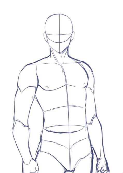 Male Anatomy Drawing Drawing Poses Male Male Body Drawing Body Base Drawing Human Figure
