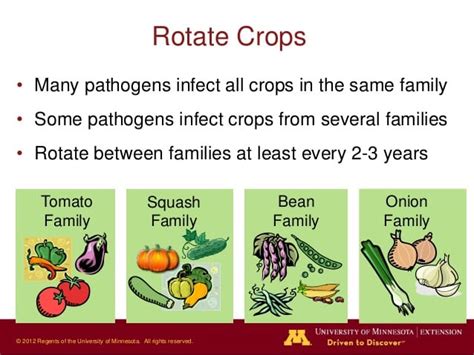 While routine pest management may be an integral part of maintaining rental property, landlords and proper pest management practices for landlords and tenants. Crop Rotation in the Georgia Community Garden