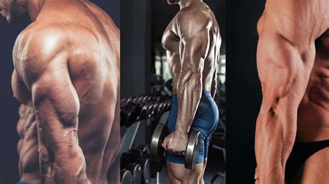 Got Big Triceps But Small Biceps These Fixes Will Help