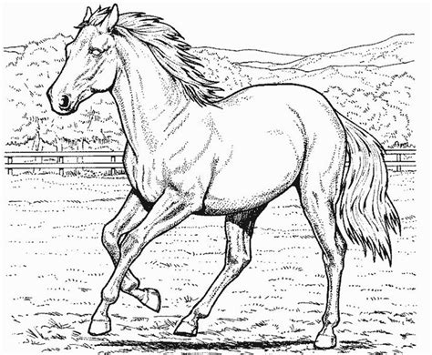 Horse Coloring Pages 2024 Best Cool Funny